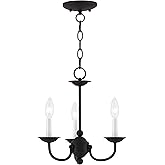 Livex Lighting 4153-04 Home Basics 3 Light Black Mini Chandelier, 14Hx14W