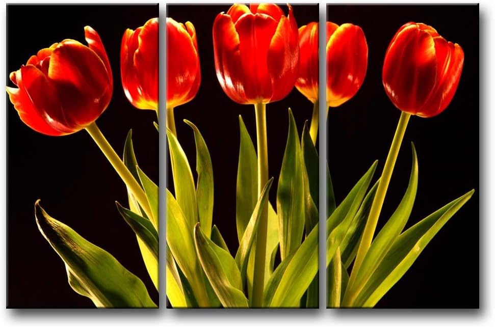 3 Panel Red Wall Art Painting Red Tulips in The Black Background