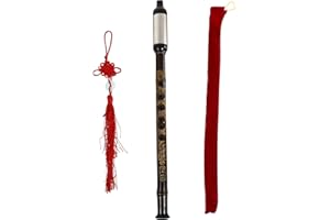 GANAZONO Vertical Flute Chinese Vertical Flute 1 Set Cucurbit Bau Flute Chinese Flute Traditional Small Tape Recorder Flute Key g Bawu Woodwind Toddler Vertical Black Bamboo Reed