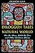 Diloggún Tales of the Natural World: How the Moon Fooled the Sun and Other Santería Stories by Ócha'ni Lele