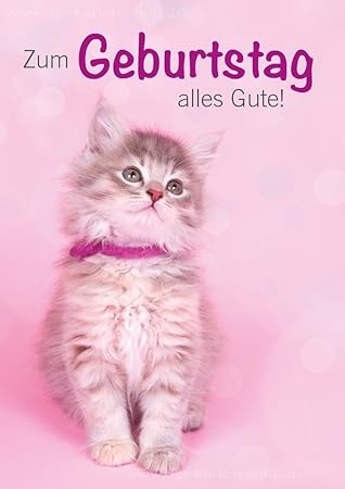 3 Stuck Doppelkarte Geburtstagskarte Gluckwunschkarte Karte Mit Kuvert Kleine Katze Babykatze Zum Geburtstag Alles Gute Amazon De Burobedarf Schreibwaren