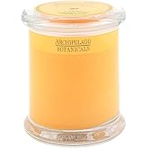 Archipelago Botanicals Lanai Glass Jar Candle, 8.6 oz | Pineapple, Mandarin and Ginger Scent, Lead-Free Candle Wicks, Burns Approx. 60 Hours
