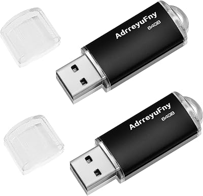 AdrreyuFny 64GB USB Flash Drive 2Pcs USB 2.0 Memory Stick Pendrive Black for PC