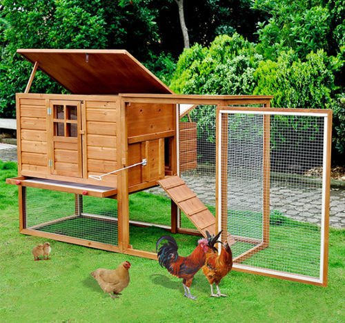 Pawhut Chicken Coop Brauthochzeitcom