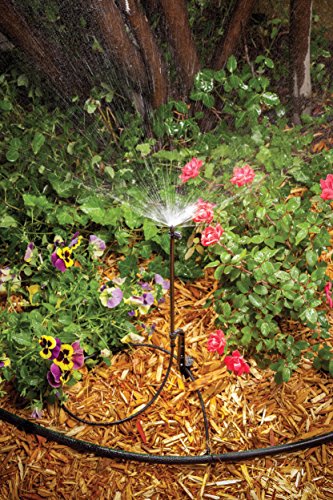 Rain Bird MSSTKTH1S Drip Irrigation Micro-Spray on Adjustable Height Staked Riser with 1/4" Tubing and Barbed Coupler, 180 Half Circle Pattern, 0-10.5' Spray Distance