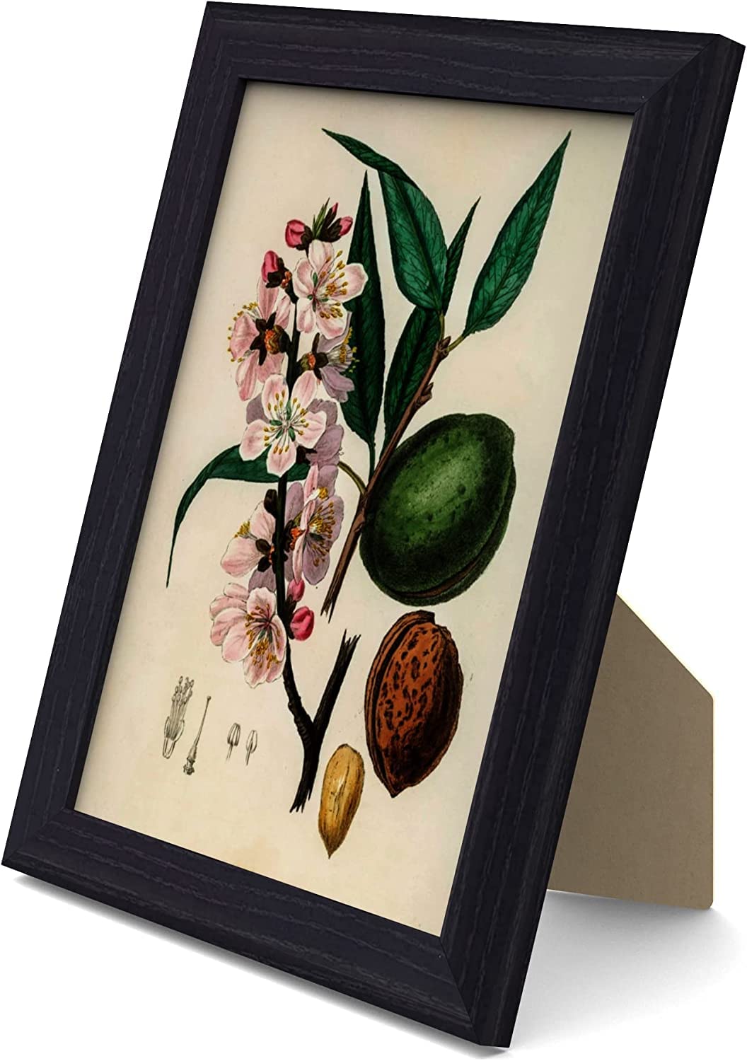 MH Traders Black A5 Picture Frame - Freestanding and Wall Mounted Photo Frame for Pictures Posters & Certificates - 15 x 21 CM A5 Size Compact Picture Frames — image 1