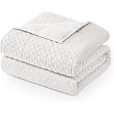 Wemore Minky Dot Weighted Blanket for Adults Queen Size 15 lbs, Soft Heavy Blanket for Stress Relief and Sleep Promotion, Breathable Blanket for All-Season with Glass Beads, White 60 x 80 inches