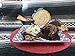 Mole Negro Mayordomo 450 gr (Black Mexican Mole Sauce) (1)