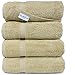 SALBAKOS 100% Turkish Cotton Bath Towel Set of 4 27x54 inch | Heirloom Quality | Hotel & Spa Collection | Ultra Soft, Super Absorbent, Long Lasting Bath Towels | Made in Turkey (Taupe, 4 Bath Towels)