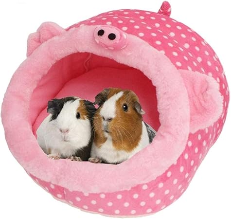 hamster accessories amazon
