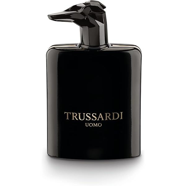 Amazon.com : Trussardi Uomo Eau de Toilette Spray for Men