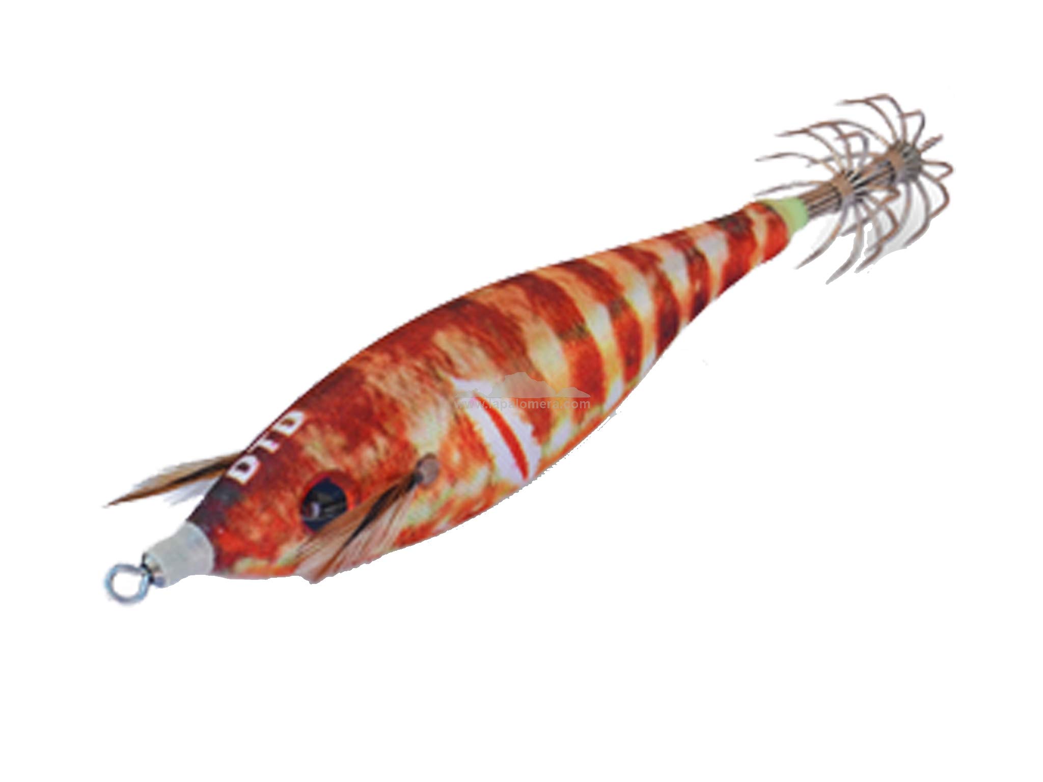 DTD SQUID FISHING REALISTIC SQUID JIG LURE WOUNDED FISH BUKVA 2.0 - Natural Comber