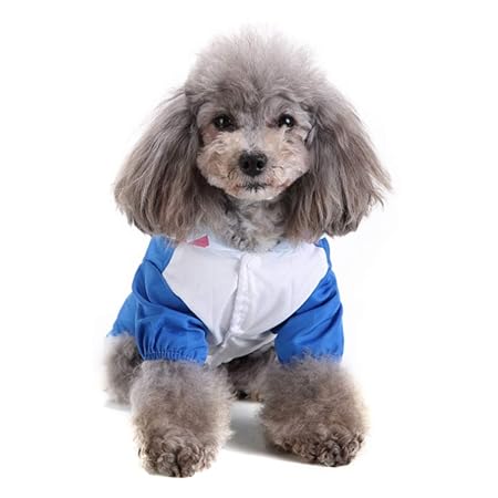 abbigliamento cani kappa