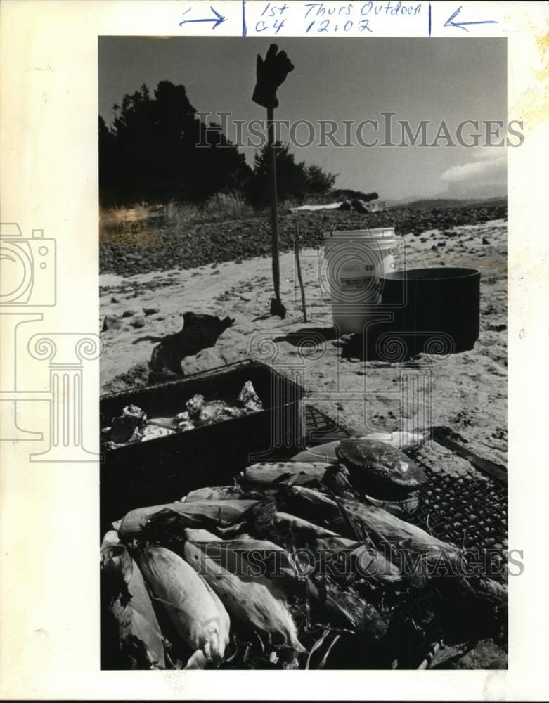 Historic Images - 1985 Press Photo Sumptuous Feast Roasted in-Husk Corn, Boiled Crab, Oysters