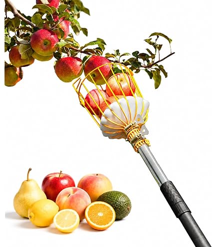 Amazon.com: Zenport ZL6146B Long Reach Telescopic Fruit Harvester