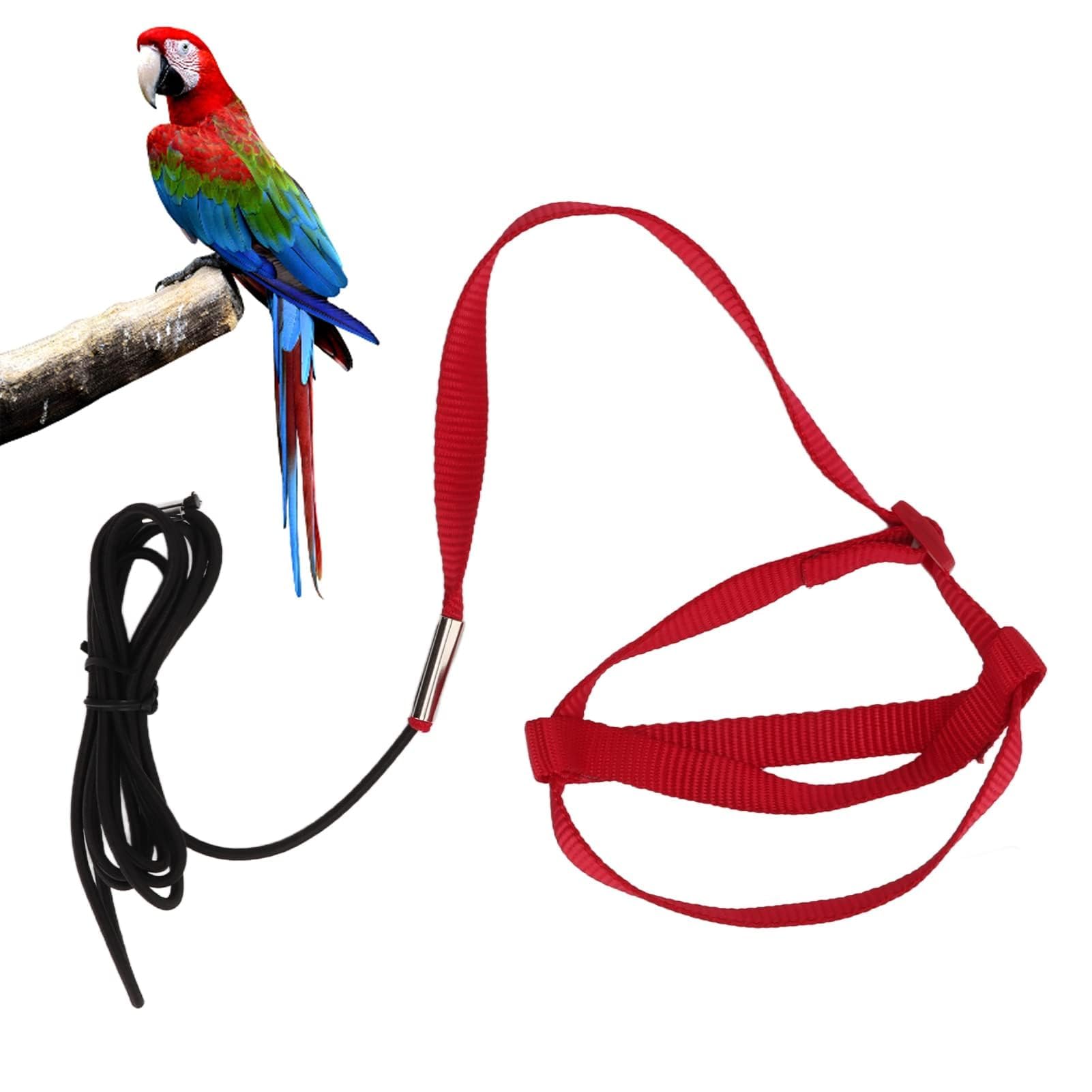 Parrot Flying Rope, Adjustable Anti Bite Bird Harness Leash Bird Flying Leash Outdoor Training Traction Rope for Pet Birds, Parrots, African Grey, Cockatoos, Yellow Ring Neck, Budgie, Cockatiel(M)