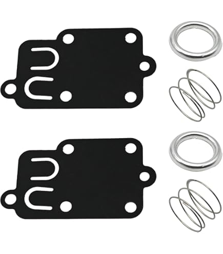 Amazon.com: Briggs & Stratton 272996 Fuel Tank Gasket