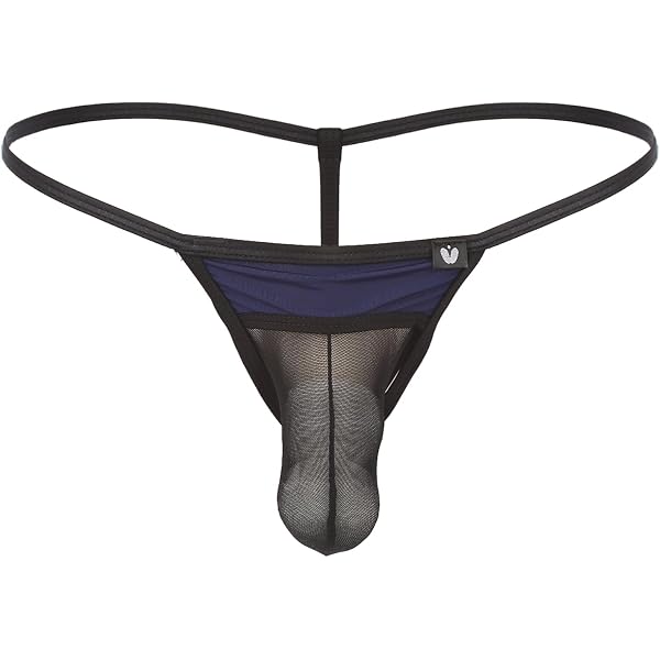 Men's Mesh G-String Thong Underwear - See-Through Micro Mini Briefs With Pouch (Size L)