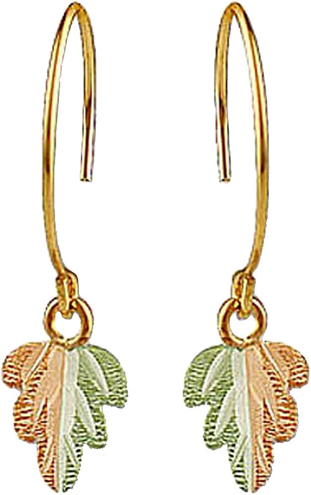 Amazon.com: Landstroms 10k Black Hills Gold Hoop Earrings, for Pierced