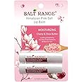 WBM Lip Balm, Formulated with Cherry & Shea Butter, Moisturization Lip Care For All Day Hydration, 100% Natural, Organic Chapstick, 1 Count (2 Pieces) - 0.30 Ounce