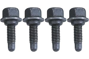 BuliBoao 4 Pcs LS Lifter Guide Tray Bolts Fits for Chevy 4.8 5.3 5.7 6.0 6.2 LQ4 LM7 LC9 LS3 1997-2014 12551163, 551733