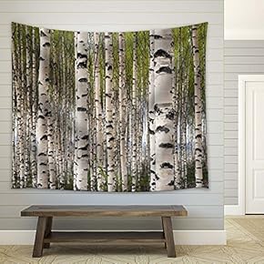 Beautiful White Birch Trees in Spring - Fabric Tapestry, Home Decor - 51x60 inches