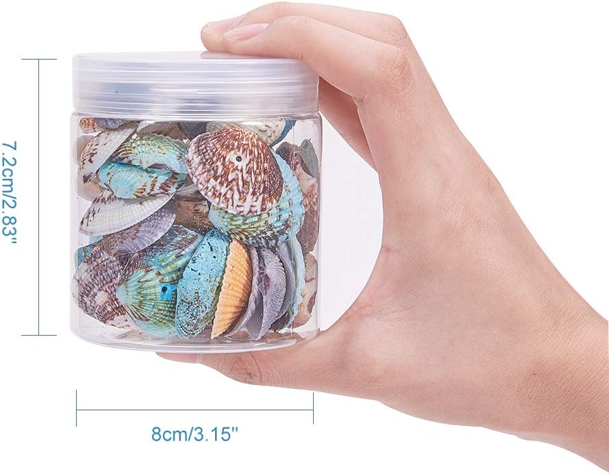 PH PandaHall 50pcs Dyed Sea Shells Scallop Shells Natural Conch Shell Beads Drilled Tiny Scallop Sea Shell for Crafting Hanging Decoration Making Beach Party Garland Wedding Decor 1.2~1.4 Inch - Image 4