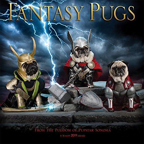 Fantasy Pugs 2019 12 x 12 Inch Monthly Square Wall Calendar by Wyman, Funny Animals by