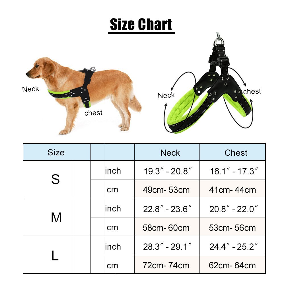 STXMALL Hundegeschirr Mit Hundeleine Hunde Geschirr Set Einstellbare Reflektierendes Langlebiges Nylon Verstellbares Outdoor Spazierengehen Gassi Gehen Laufen Grün M