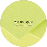 Clairefontaine Pollen 44205C A4 50 Sheets 120gsm Green Invitation Paper view 2