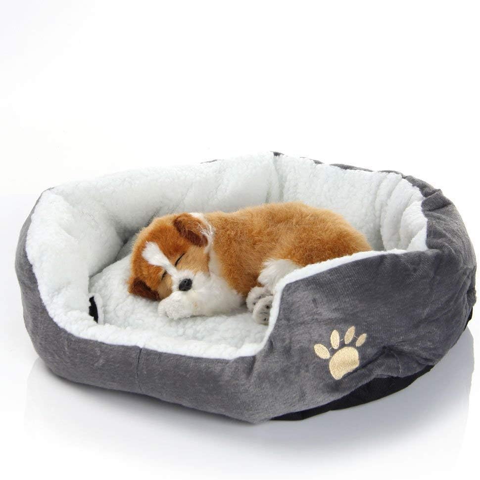 actual dog bed