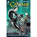 Catwoman Vol 2 Dollhouse The New 52 Judd Winick