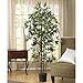 Nearly Natural 5294 Bamboo Silk Tree, 6-Feet, Green, Artificial, Silk