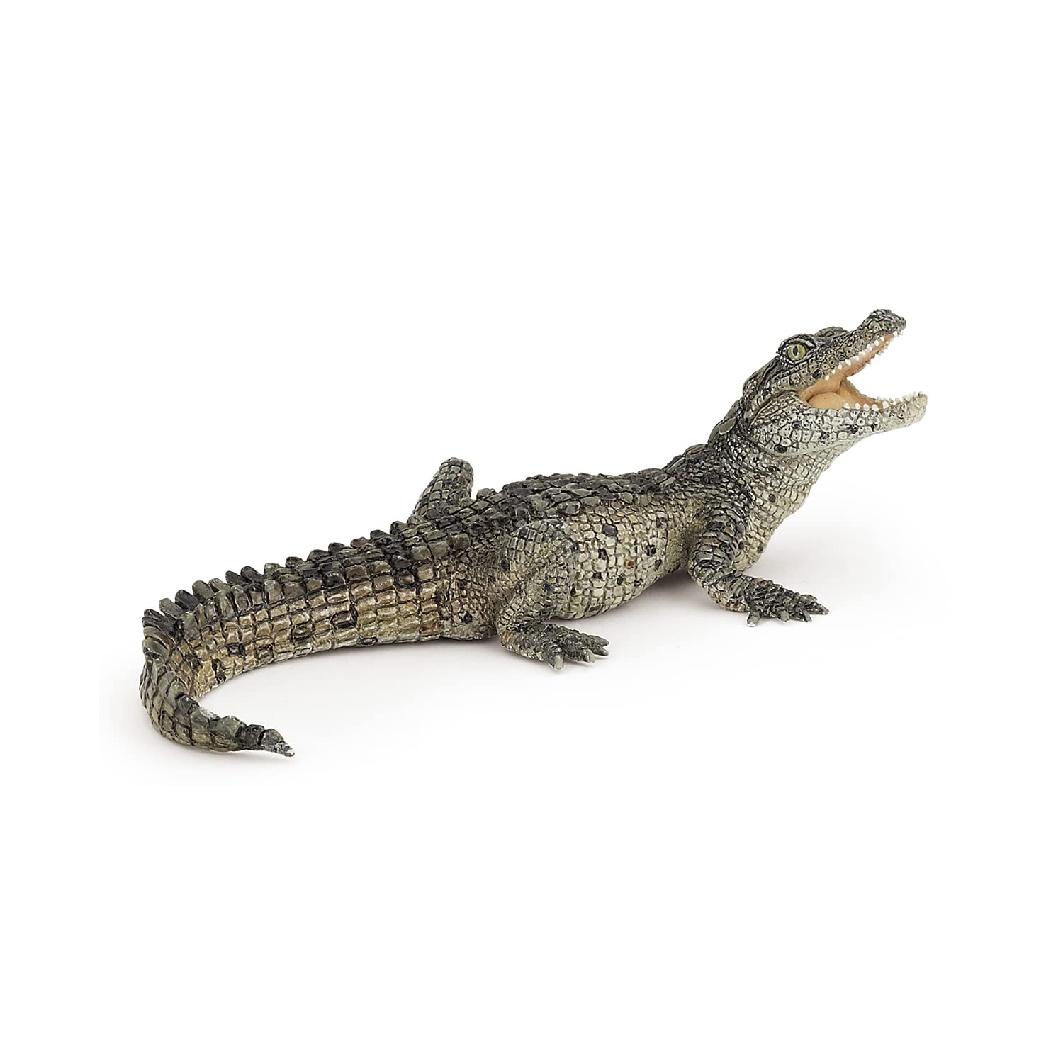 Papo - Realistic Baby Crocodile Figure - Ages 3+ - Wild Life Collection - Educational Play Reptiles - Gift Idea Toy for Girls and Boys
