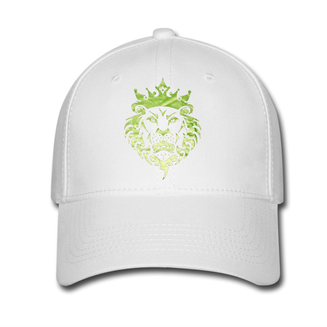 lebron james snapback