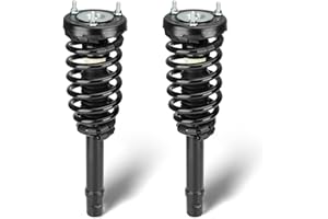 TADAAUTO Front Complete Struts Assembly w/Coil Spring Shock Absorber Fit for Hyundai Azera 2006-2011,for Sonata 2006-2010, Replace for 172281