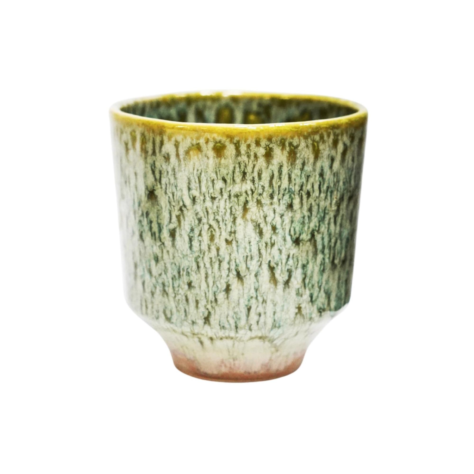 Ivyline Reactive Glaze Orchid Planter in Sage - Waterproof, Durable and Decorative - Stylish Home Indoor Round Earthenware Flower Pot - H13cm x D13cm