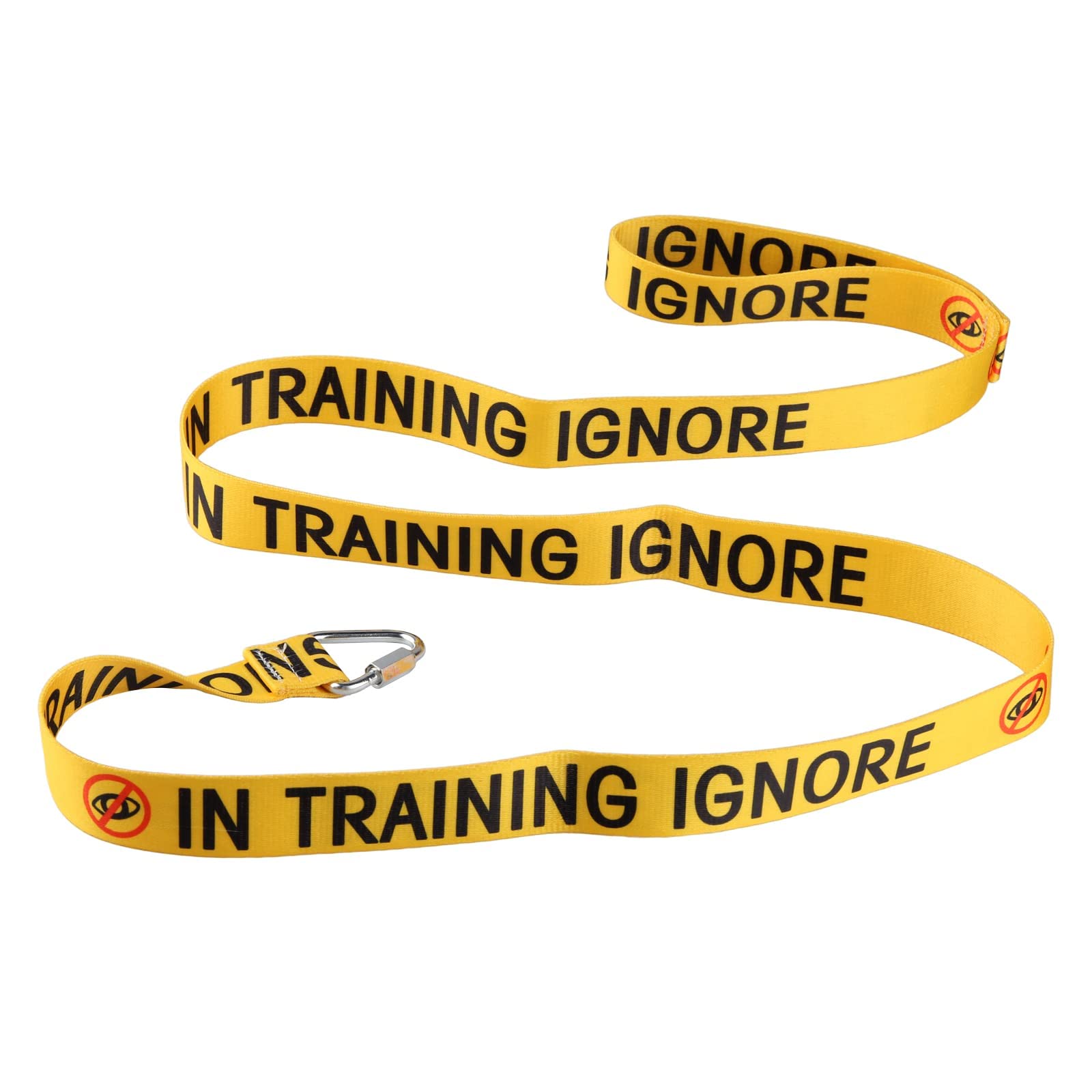 Funny Dog Leash for Training & Walking - Ignore Dog Leash Owner & Pet Lover Gift