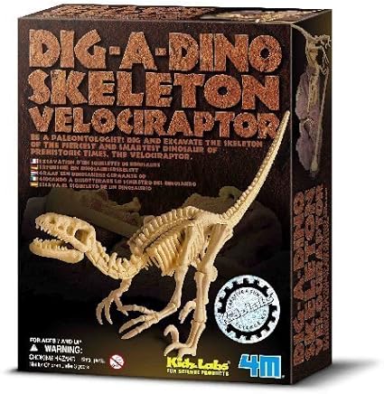dino dig toy