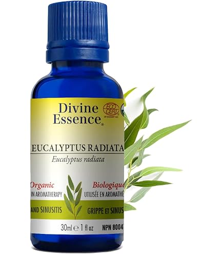 【ちゃっぴ】710PURE 500ml 710Pure - Organic Liquidizer Diluent Solution + Tool Kit for