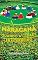 Livro Maracanã: quando a cidade era terreiro