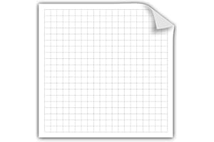 Geyer Instructional Products 503016 20x20 Squares Static Cling Graph