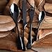 Apriling 4-Piece Stainless Steel Flatware Set Including Steak Fork Spoons Knife Tableware