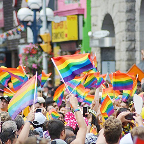 5 Anley+Rainbow+Pride+Stick+HandHeld