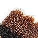 Feelgrace Hair 8A Brazilian 2 Tone Ombre Color Kinky Curly Hair 3 Bundles with 4X4 Closure Ombre Color Free Part Lace Closure with Virgin Remy Human Curly Hair Bundles Extensions(18 20 22+16)