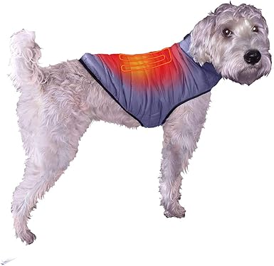 lymphoma in cats treatment