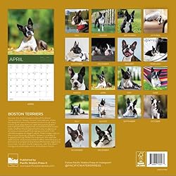 July 2025- December 2026 Wall Calendar 18 Month