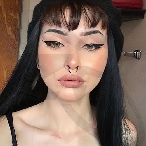 ZS Pairs Acrylic Septum Taper Pincher Ring, 14G 12G 10G 8G 6G 4G - Main Image