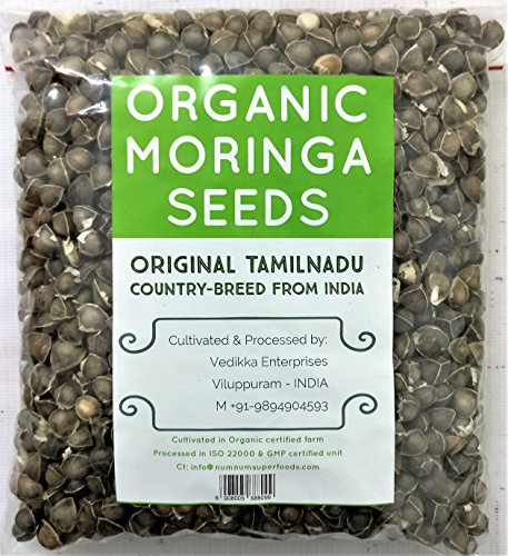Num Num Superfoods 500 Gms (1.1 Lb) Organic Moringa Seeds Original Tamilnadu Country Breed - Moringa Oleifera Seeds - Dried Drumstick Kernels - Wingless Moringa Tree Seeds
