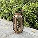 Petrala Solar Lantern Lights Outdoor Vintage Metal Hanging Lanterns 7 lumens Copper Brown with Handle for Garden Patio Table Valentine Gifts